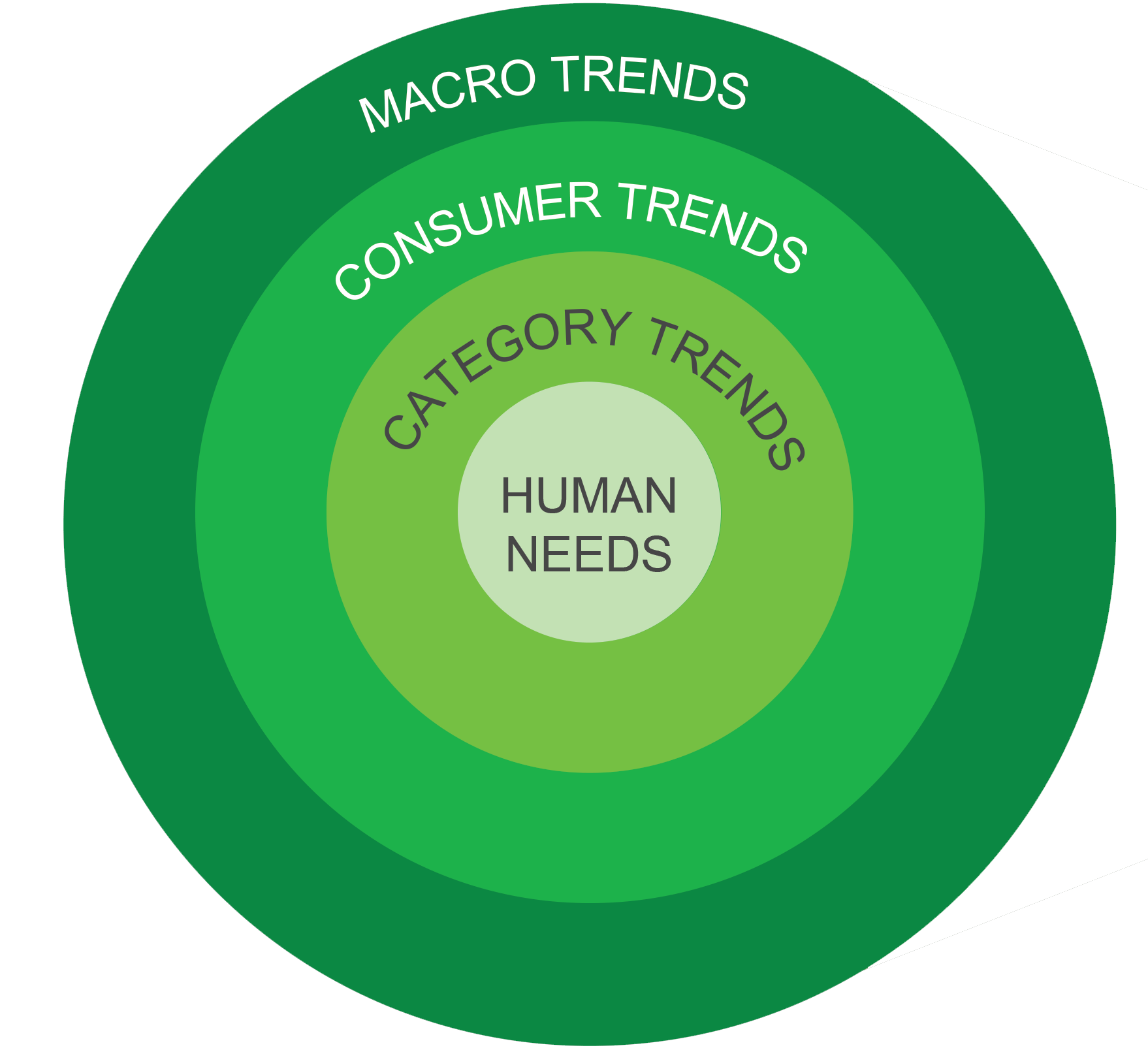 Diagram in of concentric circles with the verbiage from outer to inner reading: Macro trends, Consumer Trends, Category Trends and Human Needs