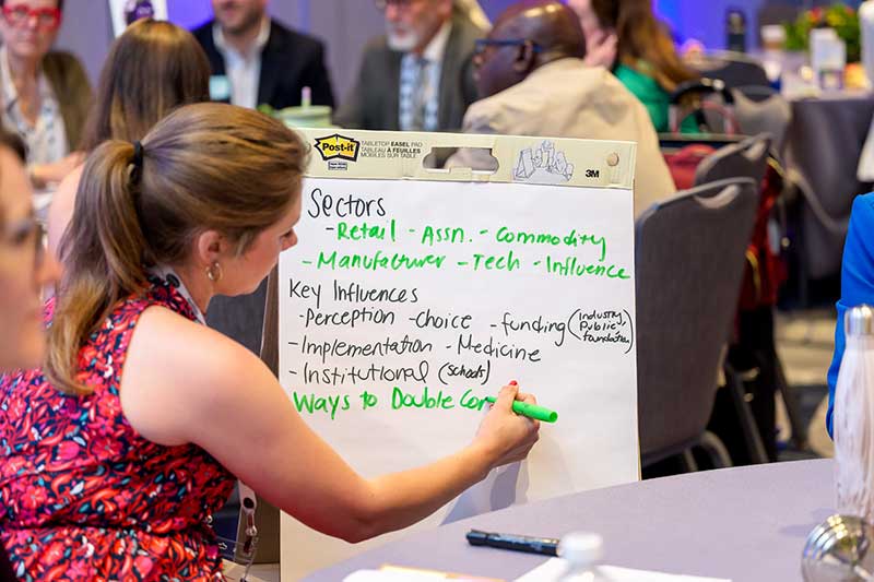 A person at the Produce For All Leadership Summit writing on a white flip chart with a green marker. The chart lists key points under headings ‘Sectors’ and ‘Key Influences’ with additional notes.