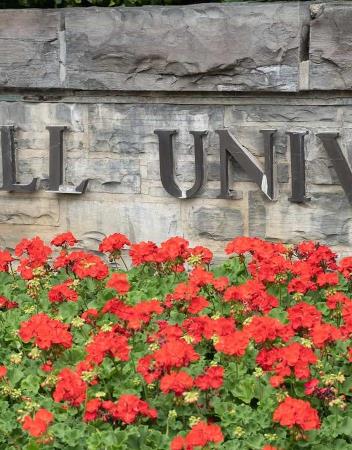 Promo feature image for Executive Leadership Development Program: Cornell University