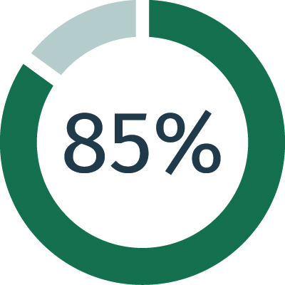 Circle diagram showing 85% full.