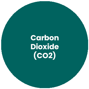 Circle with the words Carbon Dioxide in the center