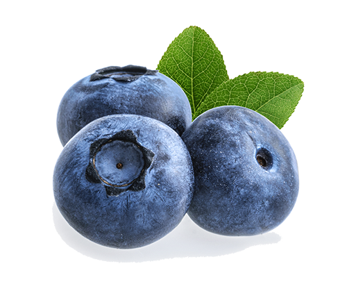 blueberry isolated on white background