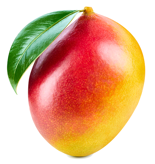 Mango isolated on white background.