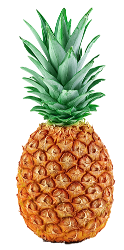 Isolated pineapple