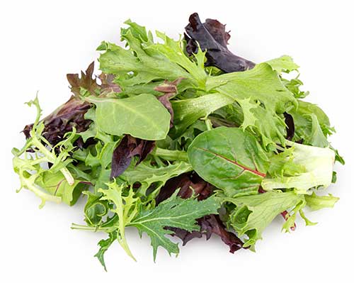 A pile of mixed salad greens with various shades of green and violet leaves.