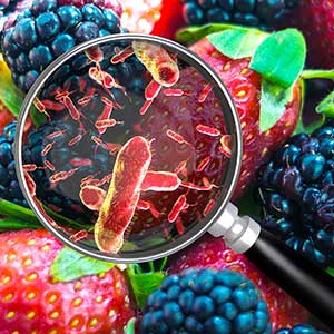Assorted berries with a magnifying glass showing bacteria on them.
